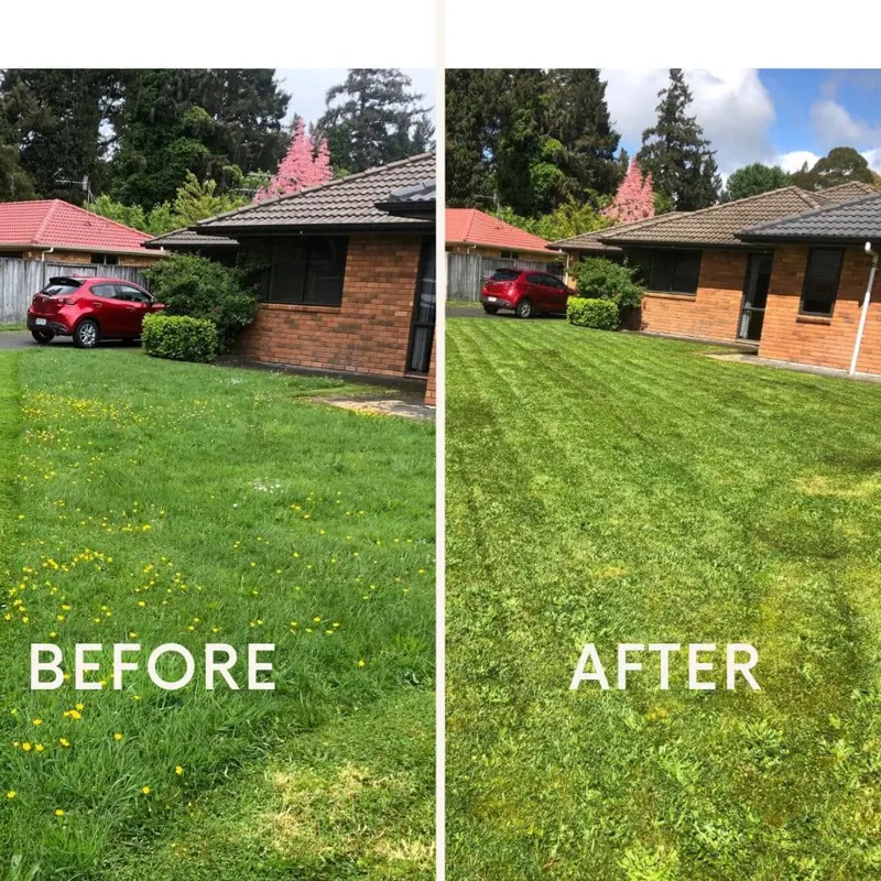 Before: long, patchy front lawn. After: short, even and striped.