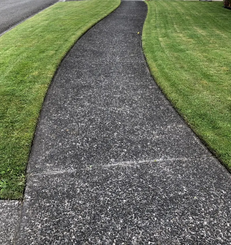 Curved path with crisp lawn edges on both sides