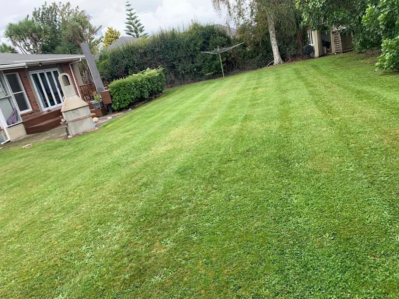Back lawn mown in clean stripes behind a weatherboard house
